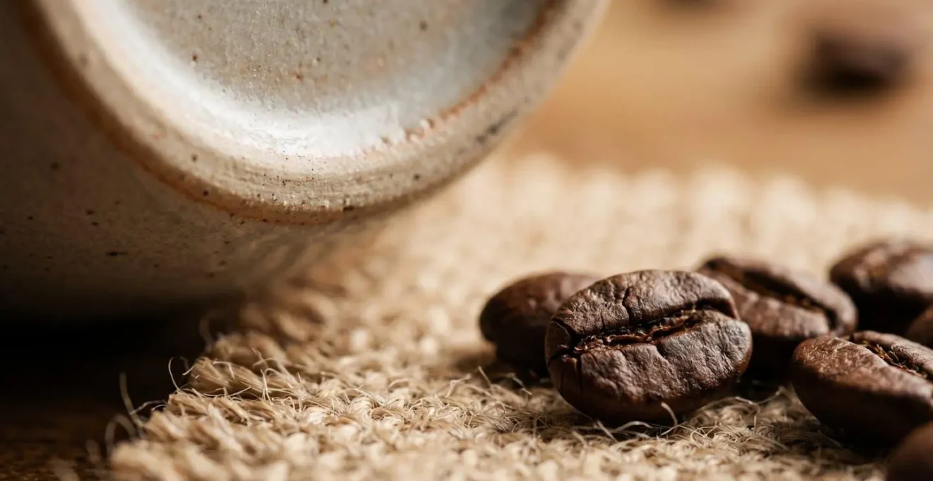 Détails macro de produits complémentaires soigneusement disposés suggérant une harmonie naturelle